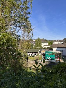 Pinnwand Bild